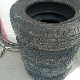 Teker 245.60.18