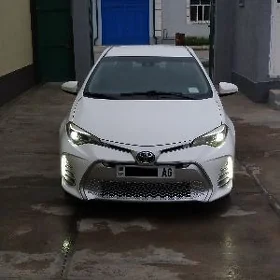 Toyota Corolla 2019