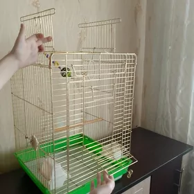 Клетка для большого папугая