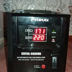 Pitbull tok köpeldilyan