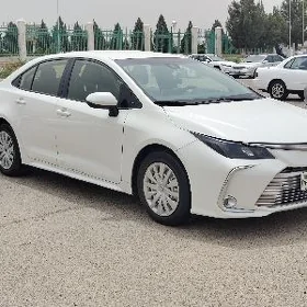 Toyota Corolla 2020