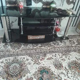 patafka taze
