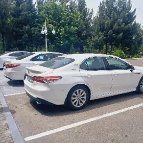 Toyota Camry 2019