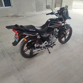 Fekon FK200-14G 2026