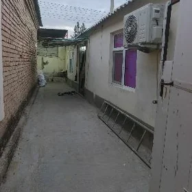 arenda Jay gypjak
