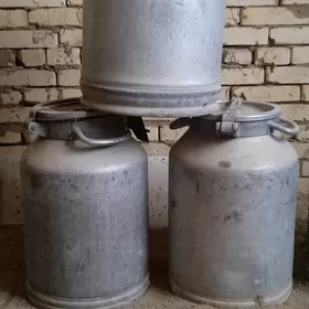 pilyak