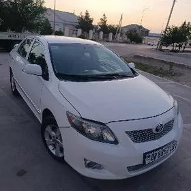 Toyota Corolla 2010