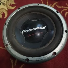 PIONEER bocka 2 abmotkaly