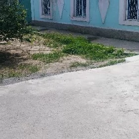 Bekrewe jaý