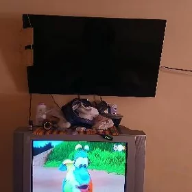telewizor