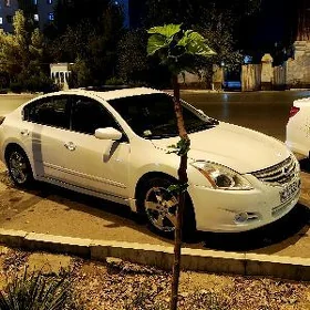 Nissan Altima 2010