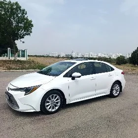 Toyota Corolla 2019