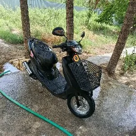 скутор
