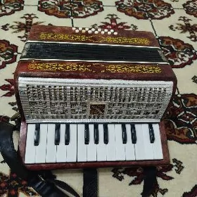 Akardiyon çaga