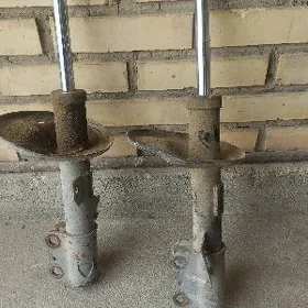 amantirasa