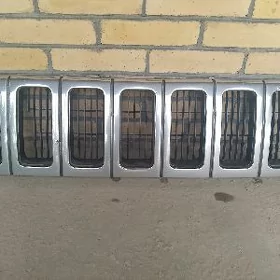 Oblisowka nikel görnüşi