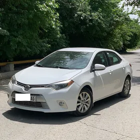 Toyota Corolla 2014