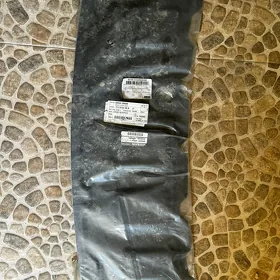 zaşita