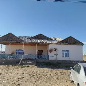satlyk jay