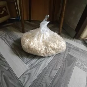 опилки для хомяка