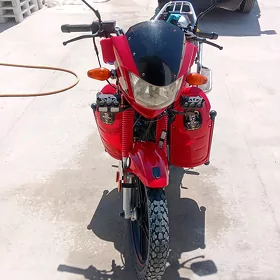 Fekon FK200-14G 2023