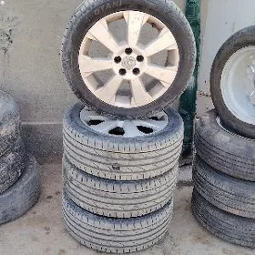 17 wektra S diska