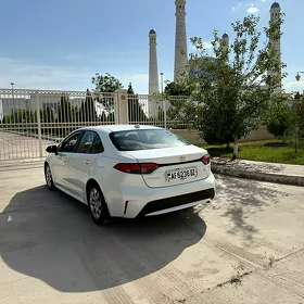Toyota Corolla 2019