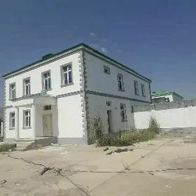 Büzmeýin gress