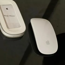 Apple magic  mouse