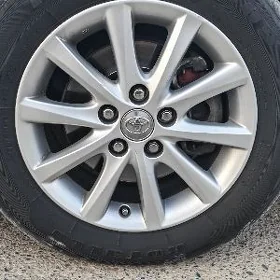 disks(clean okuz kelle)