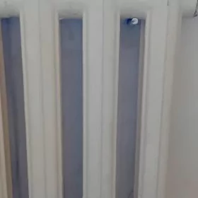 atapleniýa çugun