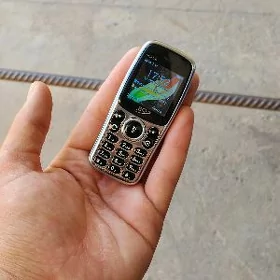 SQ 3306 prasdoy kicijek