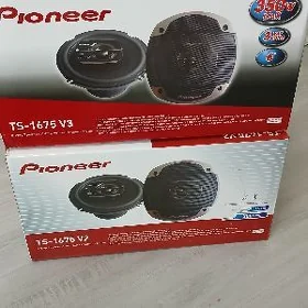 pioner kalonka