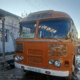 ПАЗ 3204 1986