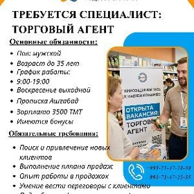 Торговый агент