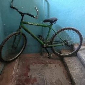 Turkmenistan welik