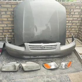 Camry lisicka