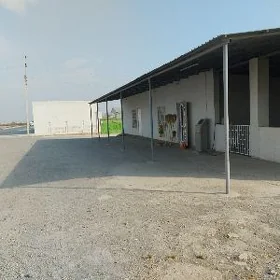 magazyn arenda