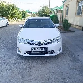 Toyota Camry 2013