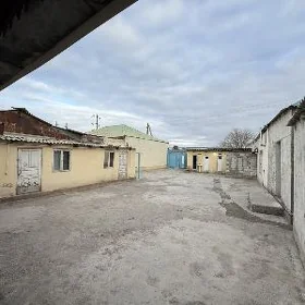 satlyk jaý Hitrowka sewirni 6s