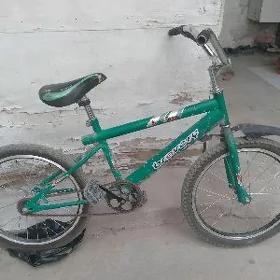 Pelosiped