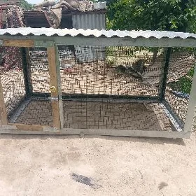 juyje ketek