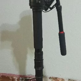Manapod