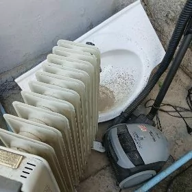 plesos