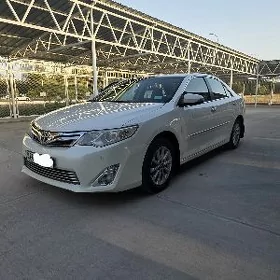 Toyota Camry 2013