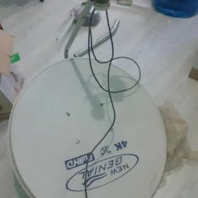 kici antena