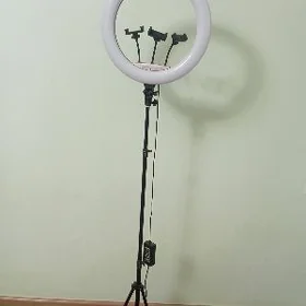 Tik tok lampa