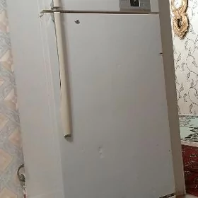 Holadinlik