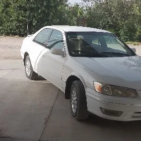 Toyota Camry 1999