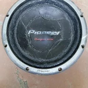 Pioneer bocka